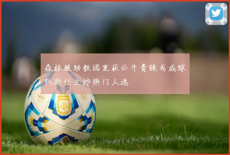 森林狼助教诺里获公牛青睐或成球队新任主帅热门人选